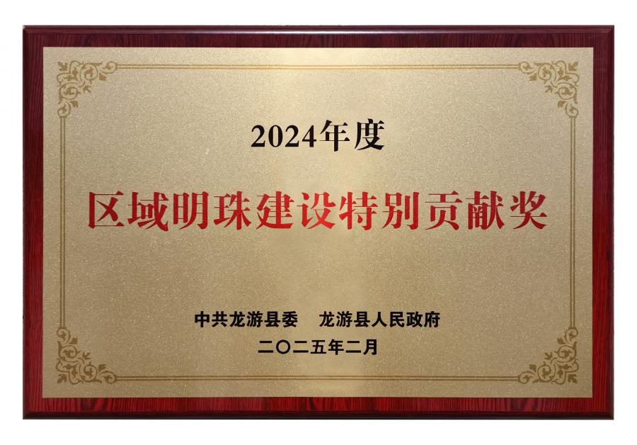 17389759585555347866.jpg 2024區(qū)域明珠建設(shè)特別貢獻(xiàn)獎(jiǎng).jpg